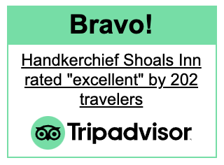 bravo from tripadvisor